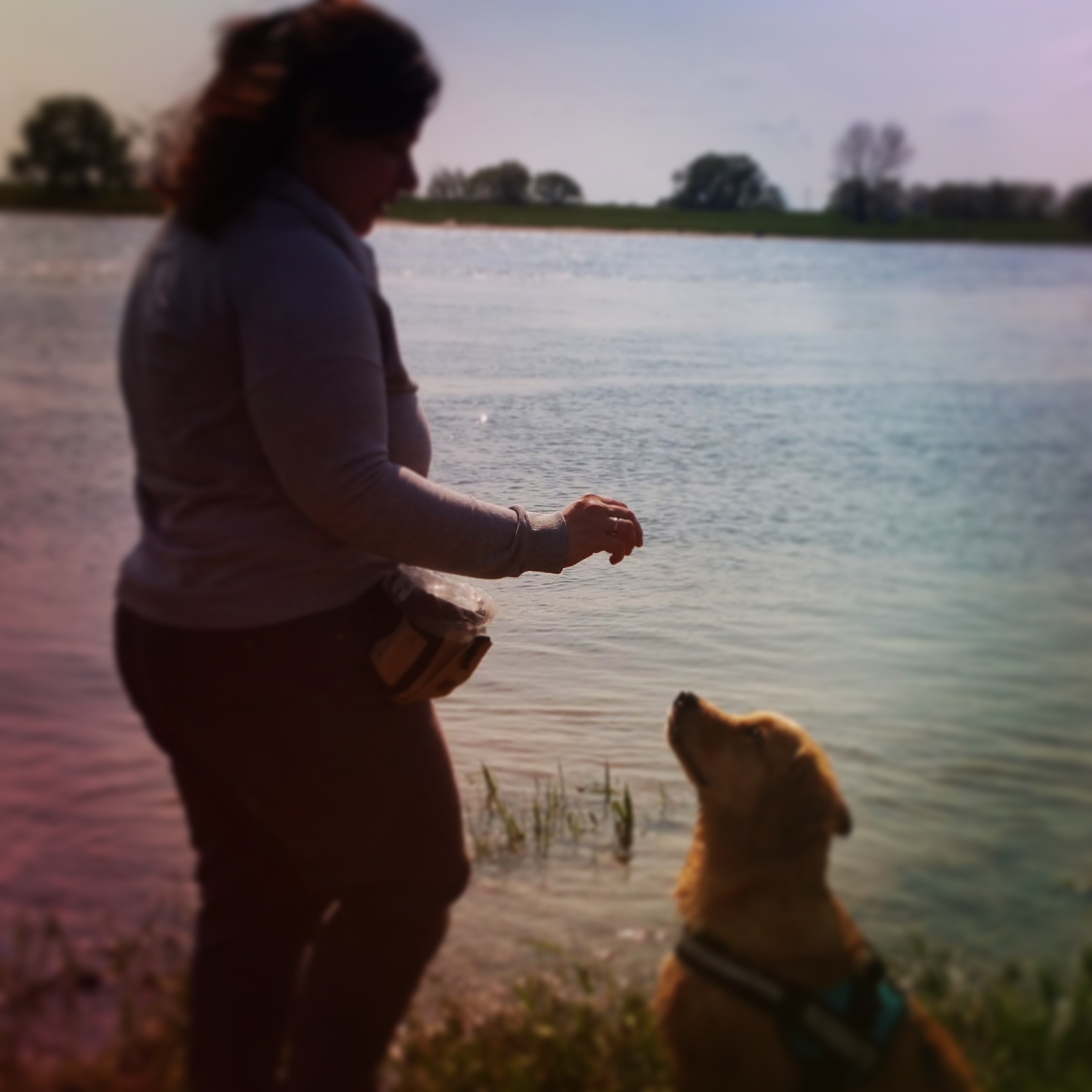 Welpentraining by Hundetraining Langenfeld
