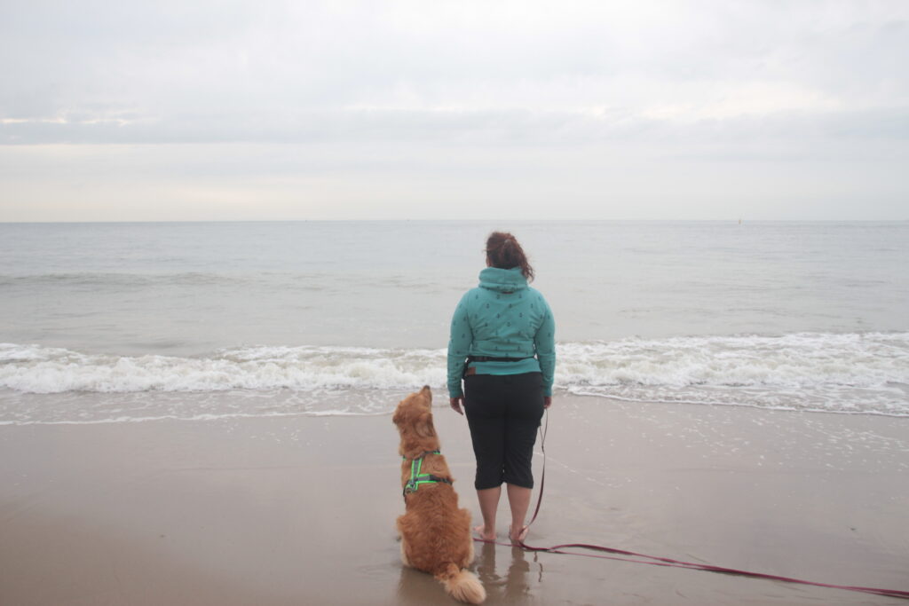 Welpentraining by Hundetraining Langenfeld